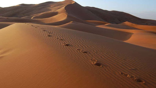 Excursion de 3 jours dans le désert de Merzouga - Photo 3