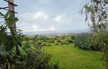 Casa di Olive - Photo 13