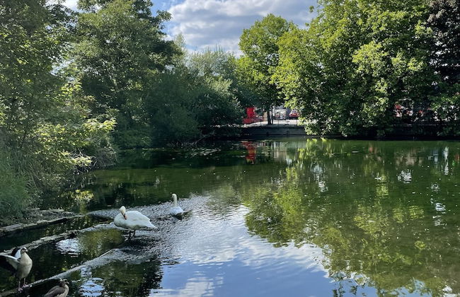 Immaculate 1-bed Apartment in Orpington - Foto 14