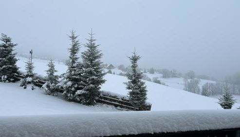 Morgensonne - Foto 5