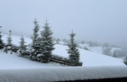 Morgensonne - Foto 5