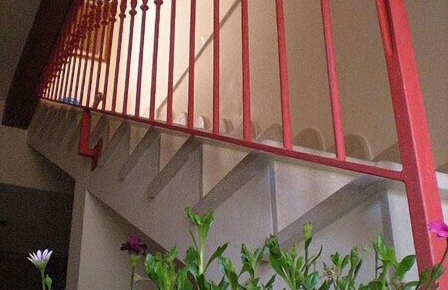 Chicchi di Melograno - Foto 37