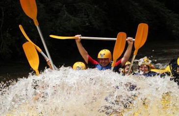 GrappaLand - Foto 50