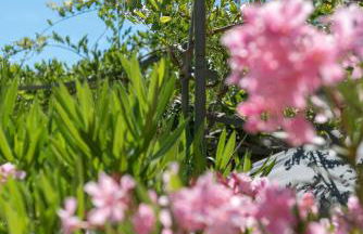 Les Maisons Du Sud - Foto 54