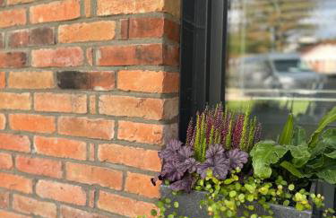 Borowe Apartamenty - Photo 11