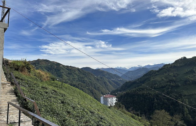 Arte suit bungalov - Foto 56