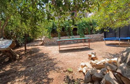 Traditional olive house - Gargalianoi - Foto 48