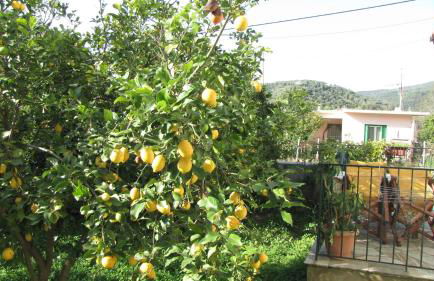 Rafaela House - Foto 30