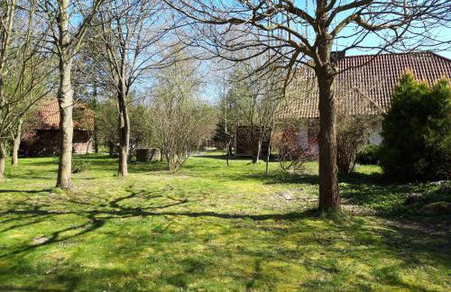 Dom koło Rewala - Foto 4