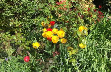 Luxury, private, secure self-contained Coach House, near Wythall and close to the NEC - Foto 29