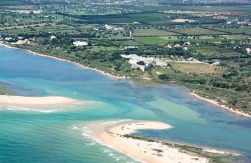 Casa Do Limoeiro - Foto 25