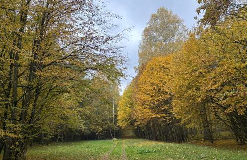 dla mnie się podoba - Foto 56