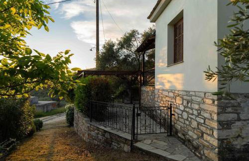 Andromachi - Foto 19