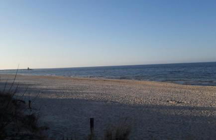 Küstenwilla FeWo Usedom - Foto 7