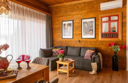 APARTAMENTY U HARREGO BOUTIQUE SPA masaże, sauna, tężnia solankowa , balkon , taras , klimatyzacja , parking - Foto 70