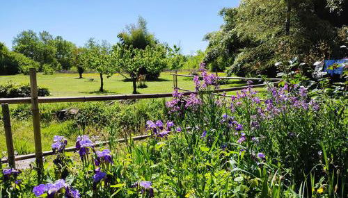 La Grange Du Moulin De Tauran - Foto 3, Garden view