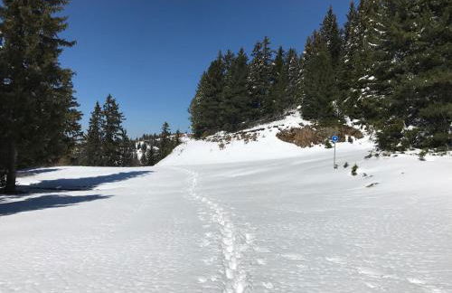 Appartement Chamrousse le Vernon - Foto 19