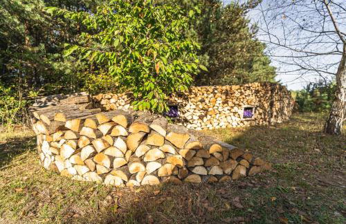 Siedlisko Janopole - Foto 67