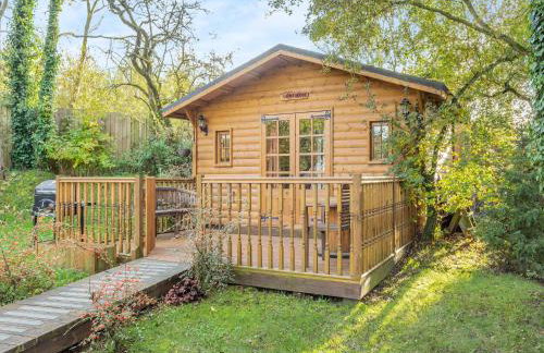 Lion House- Uk45705 - Foto 1