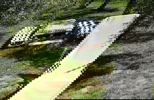 Agriturismo Il Truffarello - Foto 37