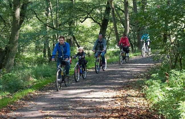 City Apartments Mühlhausen - Photo 63