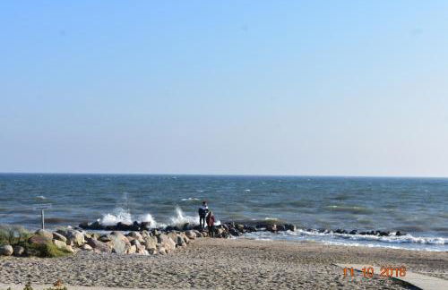 Ostseebauernhof Schönhagen - Foto 53