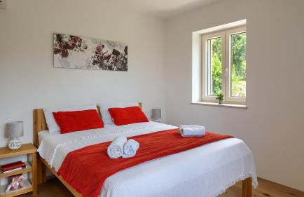 Rustic villa Casa Mavretici with pool in Motovun - Foto 23