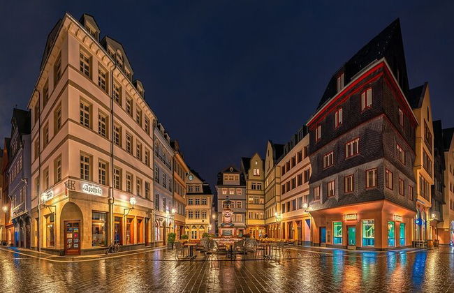 Private half day Tour of Frankfurt with driver and local guide - Photo 4