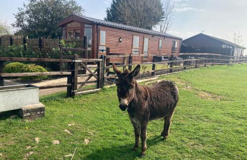 Rew Farm Country and Equestrian Accommodation - Sunset Lodge - Photo 1