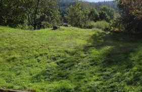 Gîte du pré forestier - Foto 17