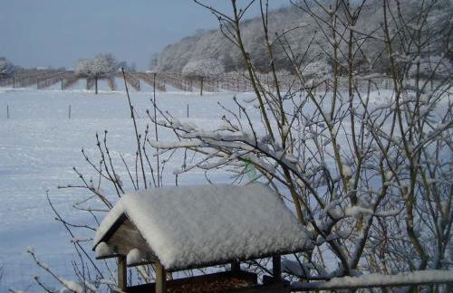 Ferienwohnung Am Walde - Photo 60