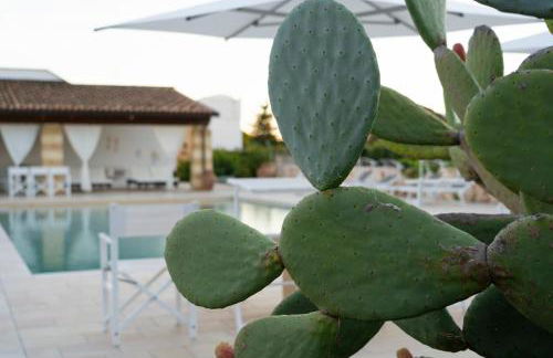 Masseria Tenuta Flora Maria - Foto 112