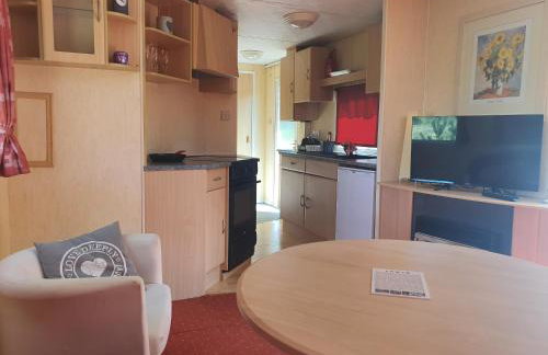 Holenderki na Zielonych Wzgórzach, Łowyń - Foto 18