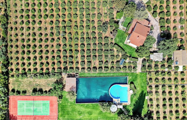 Orange Grove Villa - Foto 61