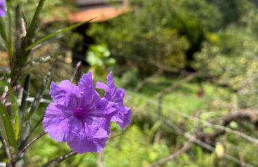 Chalé das Hortências - Parque Nacional do Caparaó - Foto 20