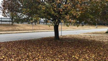 Horsmen's Haven - Foto 3