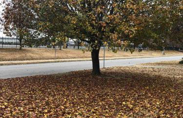 Horsmen's Haven - Foto 3