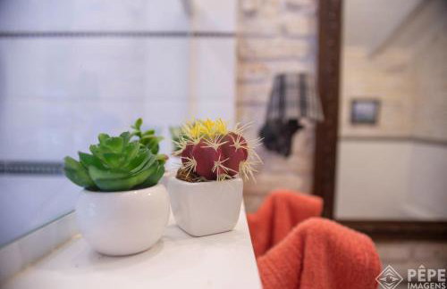 Vieja Hacienda - Photo 11