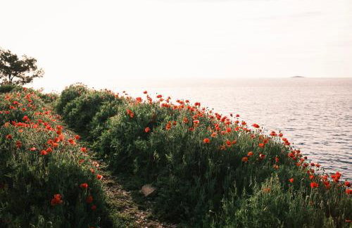 Villa Infinity View - Photo 58