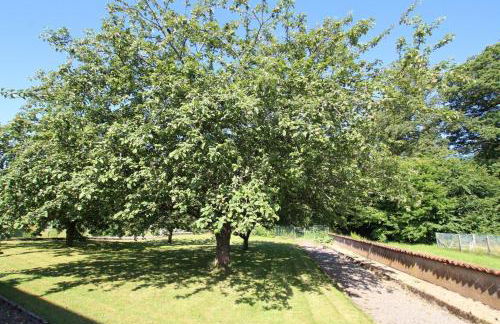 Maison chaleureuse à Champagney avec vue sur la montagne - Foto 19