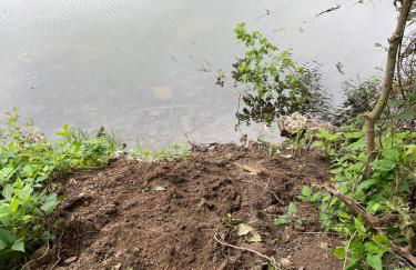 Pet friendly Tiny House Rental with new Access to Guadalupe River NBTX - Photo 35