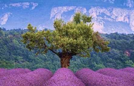 -Le Toit Terrasse - - Foto 15