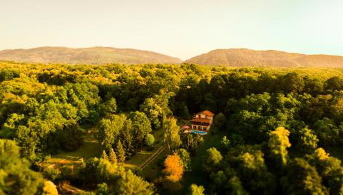 Holiday Home Nina Petrinja - Foto 3