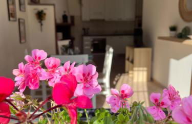 Casa Saline - Foto 21