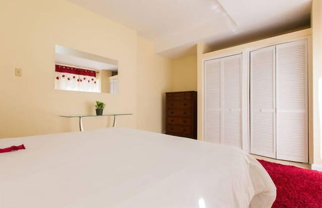 New Kingston Apartments at Kensington - Foto 4