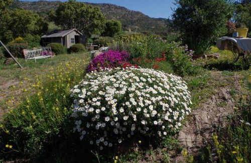 coustelline - Foto 18