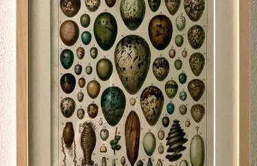 Casa Davide - Foto 11