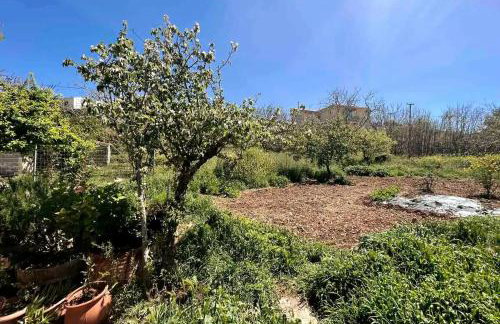 Traditional house with fresh vegetables garden - Foto 39