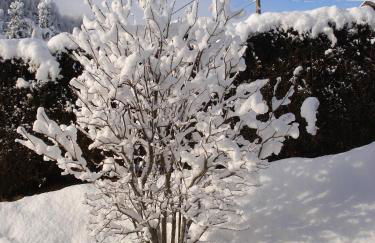 Le Maurillon - Foto 32