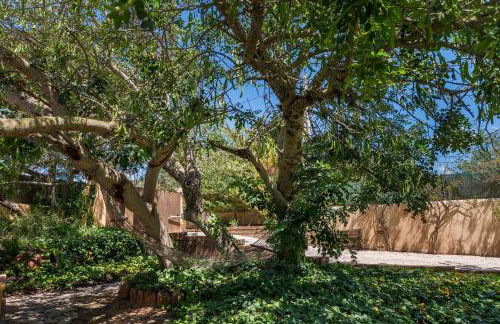 Can Botanic - Foto 56